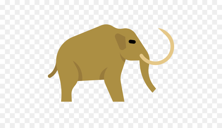 الفيل الأفريقي，الفيل الهندي PNG