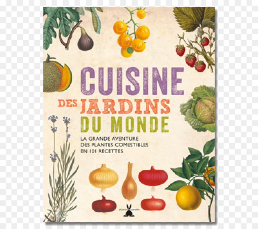 كيو العالمية المطبخ كتاب الطبخ 101 وصفات باستخدام النباتات الصالحة للأكل من جميع أنحاء العالم，النباتات من الجذور إلى الغنى PNG