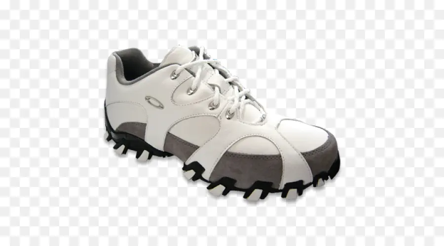 أوكلي Inc，أحذية رياضية PNG