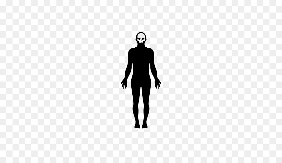 جسم الإنسان，الشكل PNG