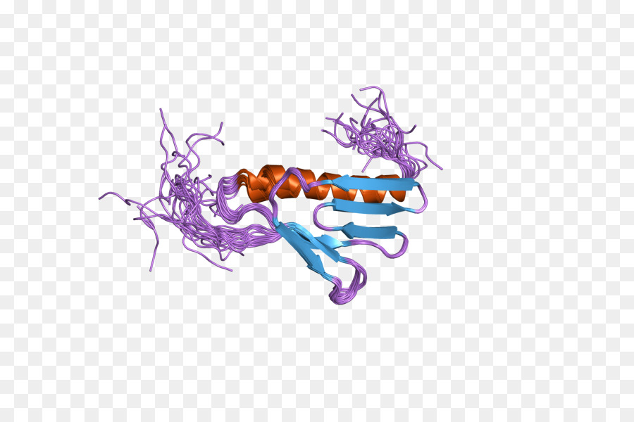 هيكل البروتين，جزيء PNG
