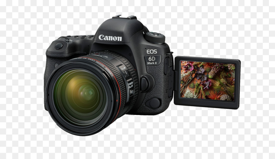 Canon لهم 6d，Canon Ef 24105mm عدسة PNG