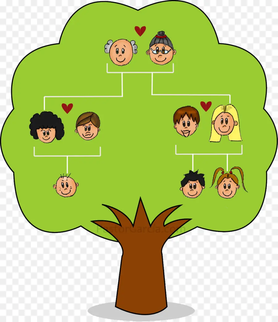 شجرة العائلة，الأسرة PNG