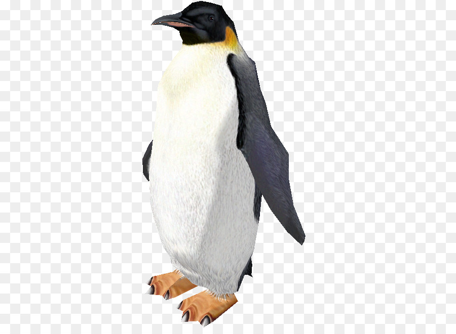 King Penguin，Zoo Tycoon 2 PNG