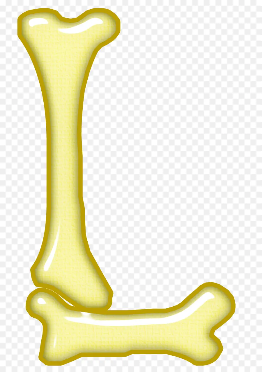 العظام，الهيكل العظمي البشري PNG