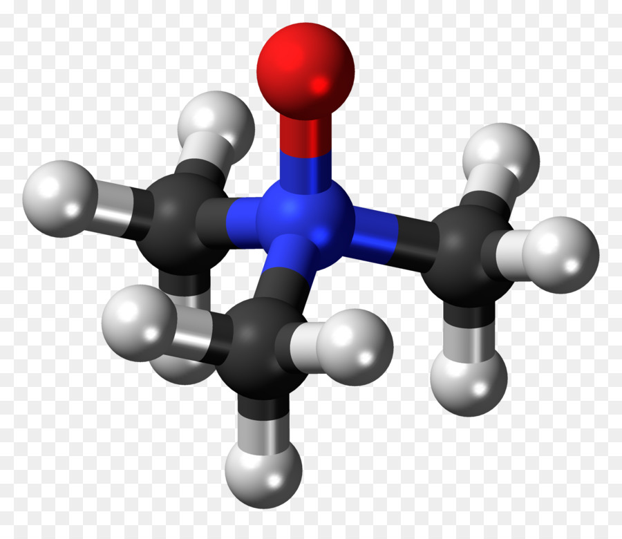 Trimethylamine Noxide，Trimethylamine PNG