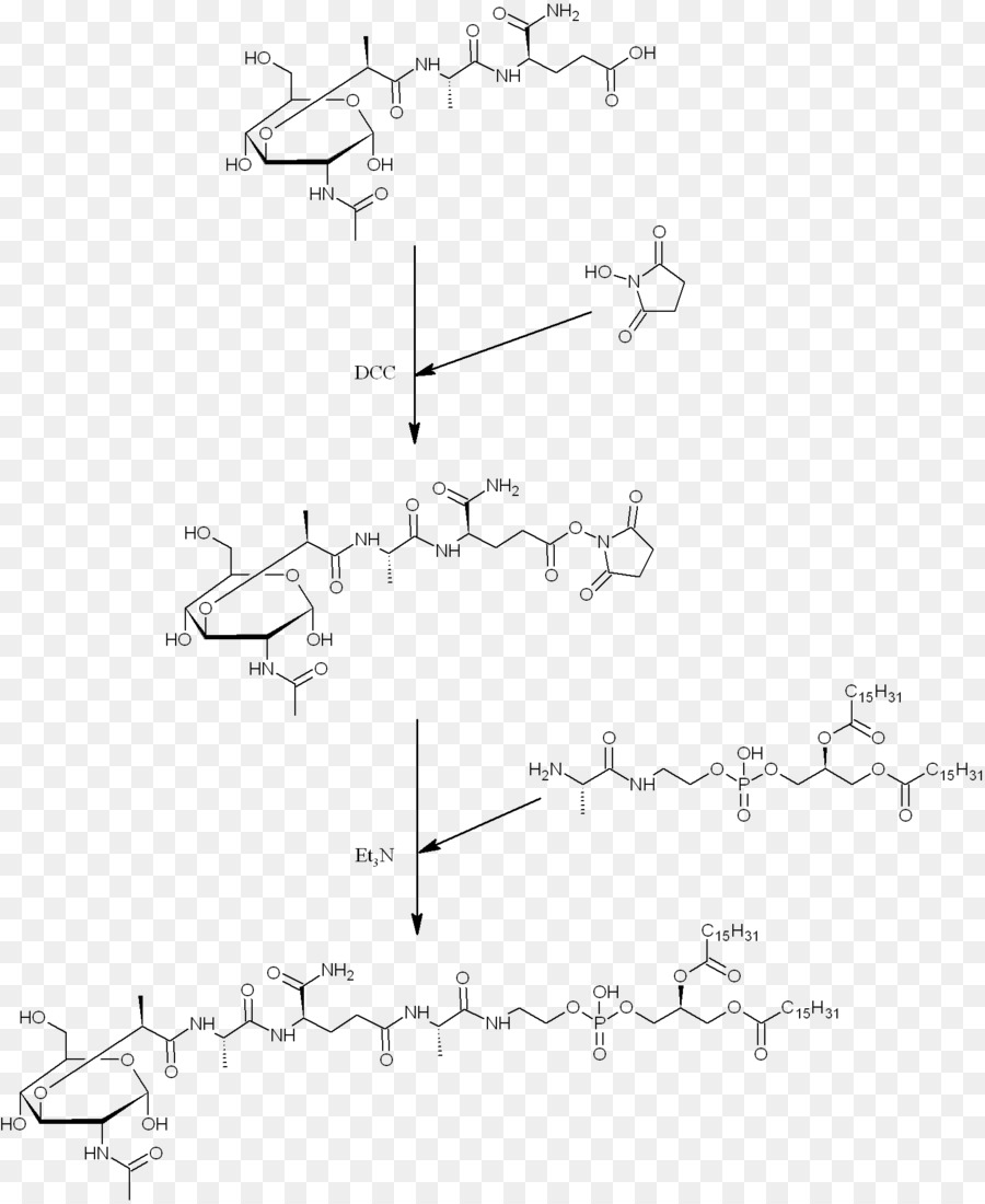Mifamurtide，Muramyl Dipeptides PNG