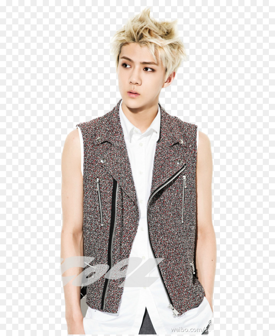 Exo，Exok PNG