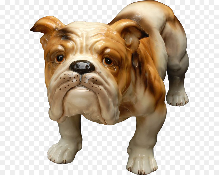 لعبة بلدغ，دورست العجوز Tyme Bulldogge PNG