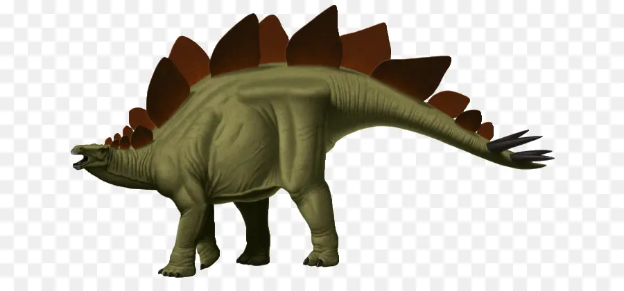 Tyrannosaurus，Stegosaurus PNG