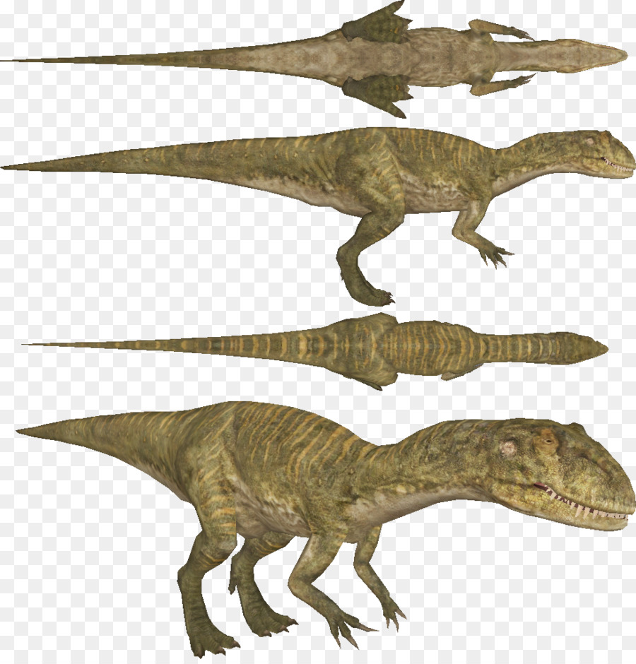 Tyrannosaurus，Allosaurus PNG