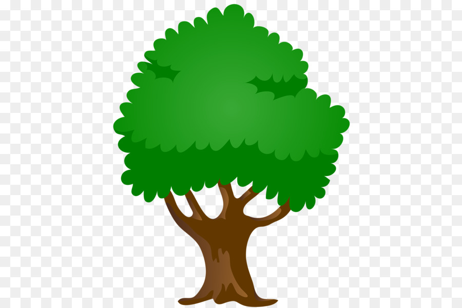شجيرة شجرة التوت صورة بابوا نيو غينيا