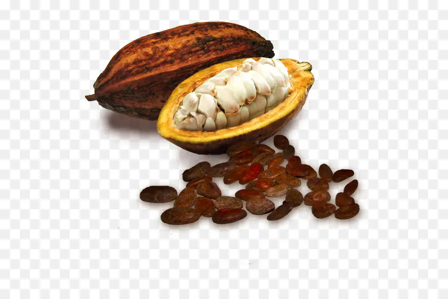 حبوب الكاكاو，الشوكولاته البيضاء PNG