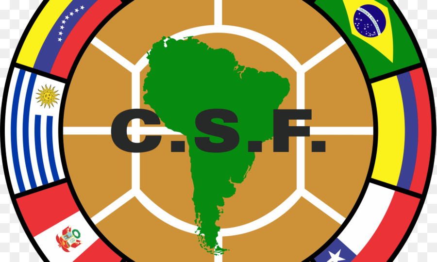 اتحاد أمريكا الجنوبية，كأس العالم لكرة القدم 2014 PNG