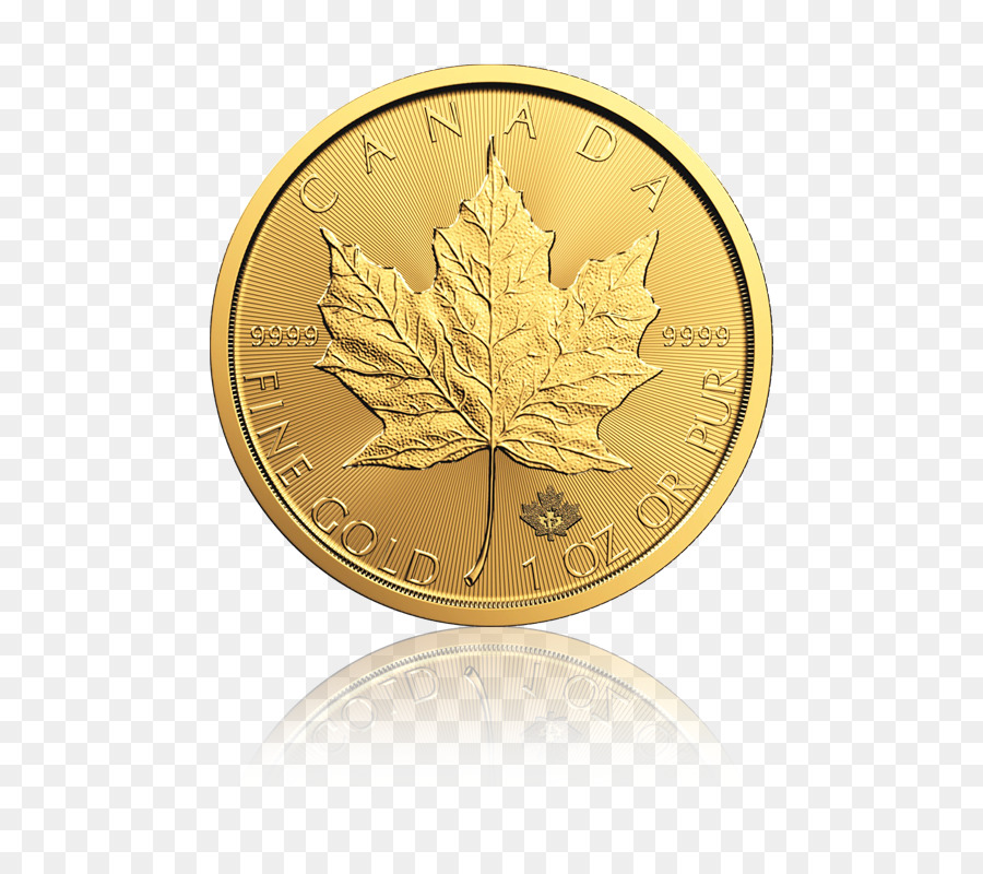 الكندي الذهب مابل ليف，الكندي الفضة ورقة القيقب PNG