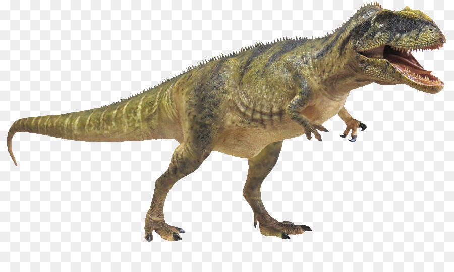 الديناصور，فيلوسيرابتور PNG
