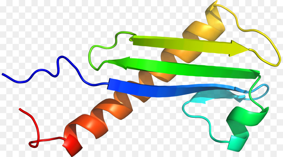 بروتين هيليكس，جزيء PNG