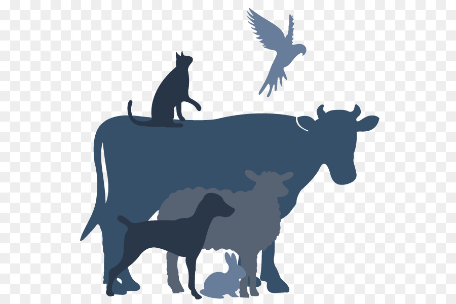 الماشية，فيرندال PNG
