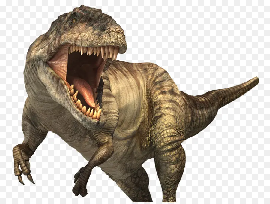 Giganotosaurus，Tyrannosaurus PNG