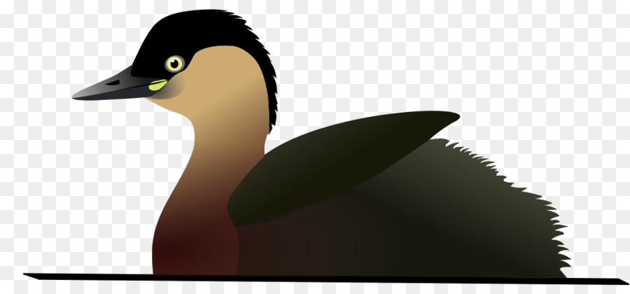 بحيرة Alaotra，الطيور PNG