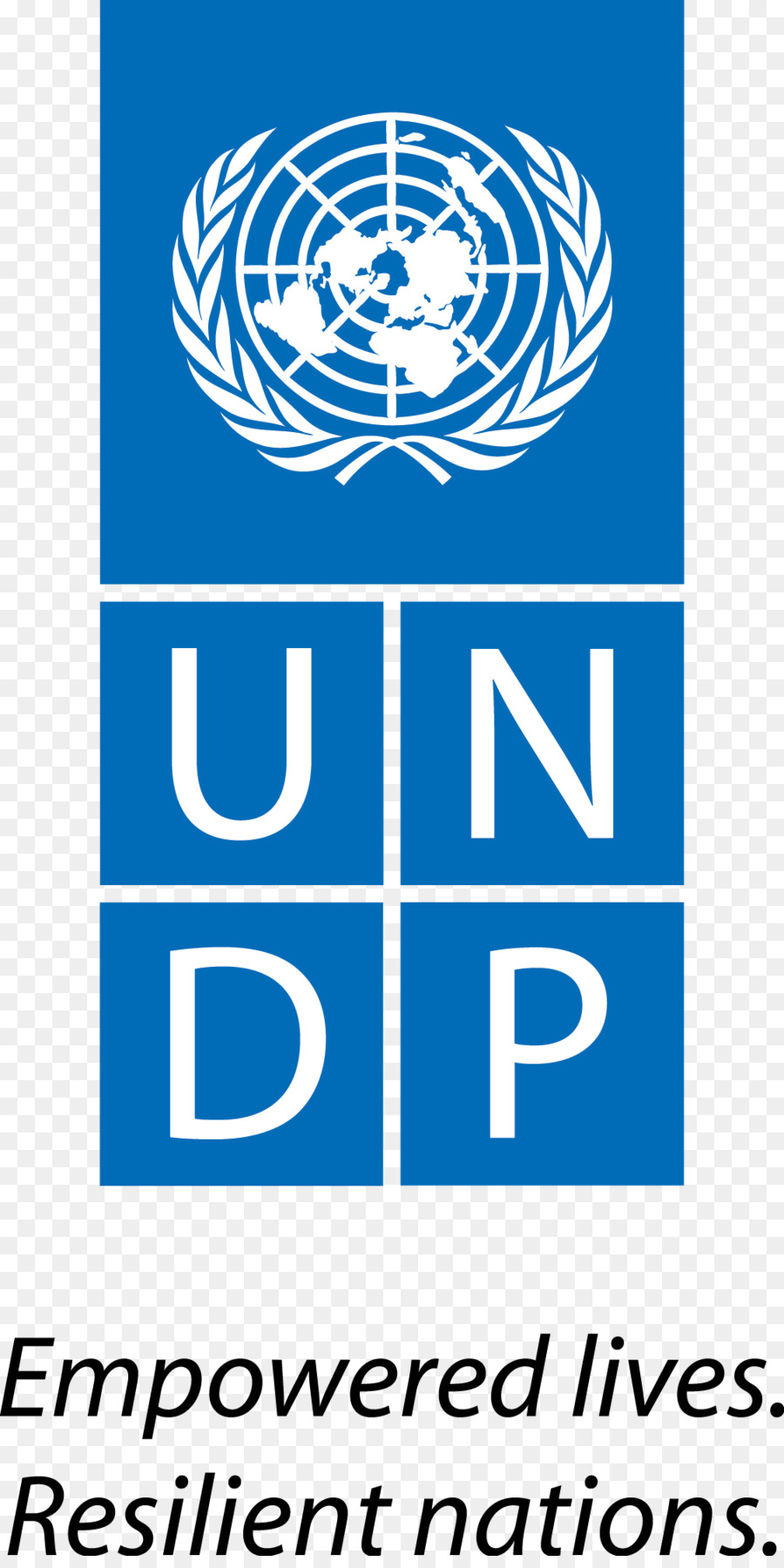 برنامج الأمم المتحدة الإنمائي，الأمم المتحدة PNG