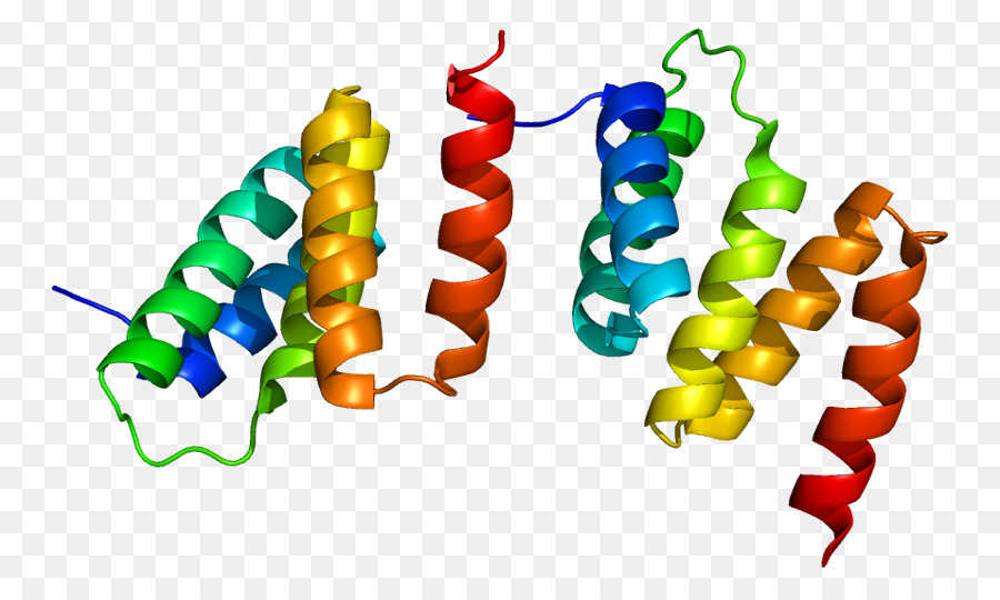 Procollagenproline Dioxygenase，البرولين PNG