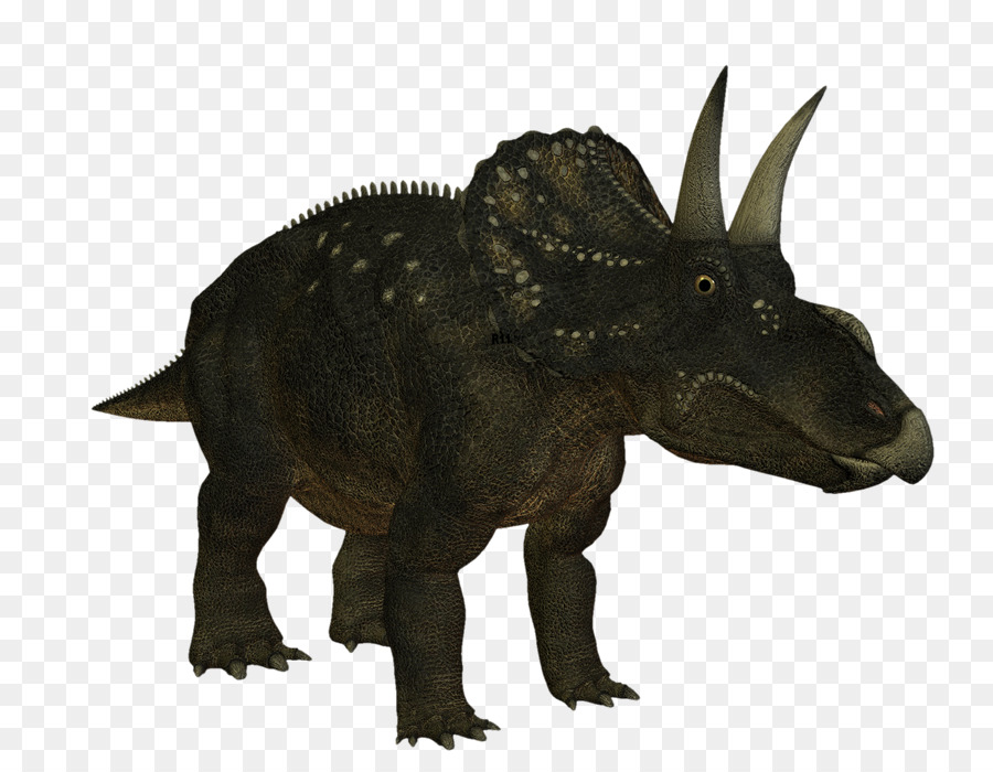 الديناصور，Monoclonius PNG