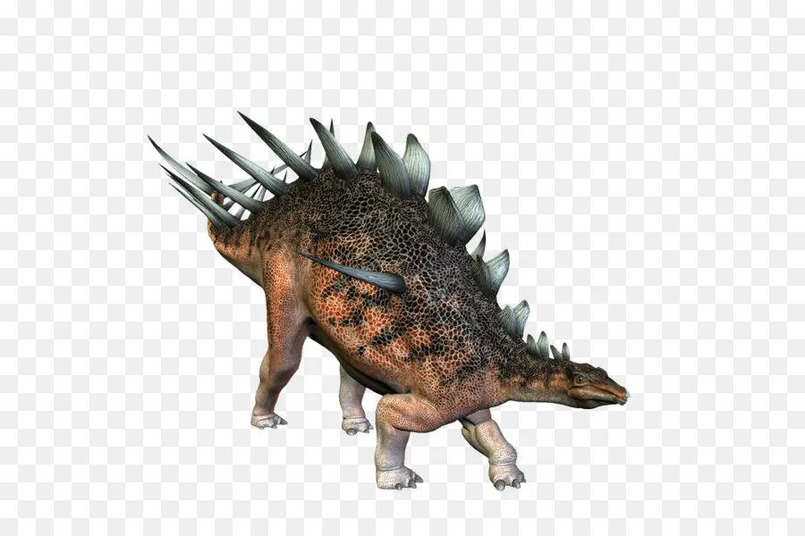 ديناصور，Kentrosaurus PNG