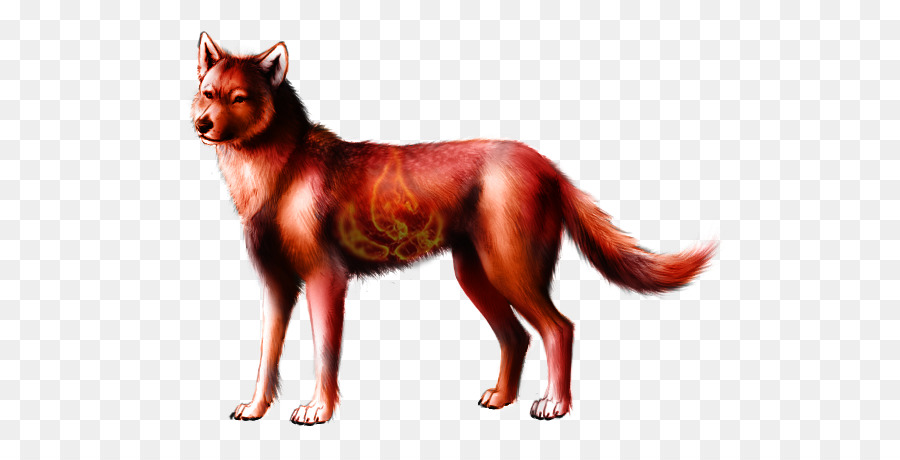 الثعلب الأحمر，الكلب PNG