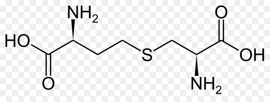 Cystathionine，سيستين PNG