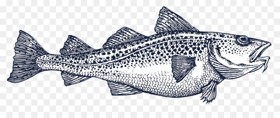 سمك القد，سمكة PNG