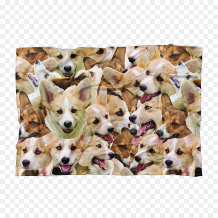 Pembroke Welsh Corgi，جرو PNG