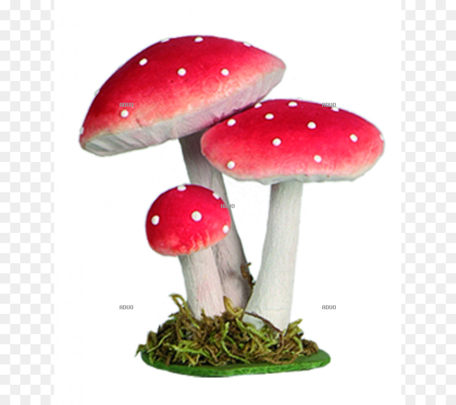 الأمانيت Muscaria，الفطريات PNG