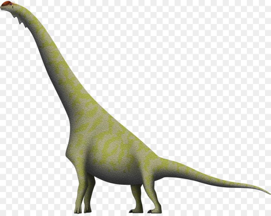 Brachiosaurus，ديبلودوكس PNG