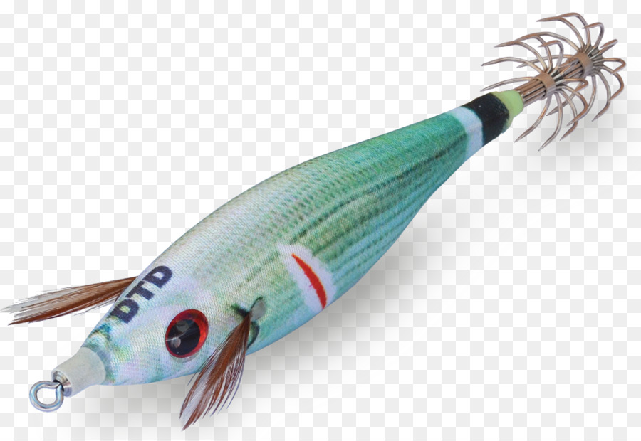 حبار，صيد السمك PNG