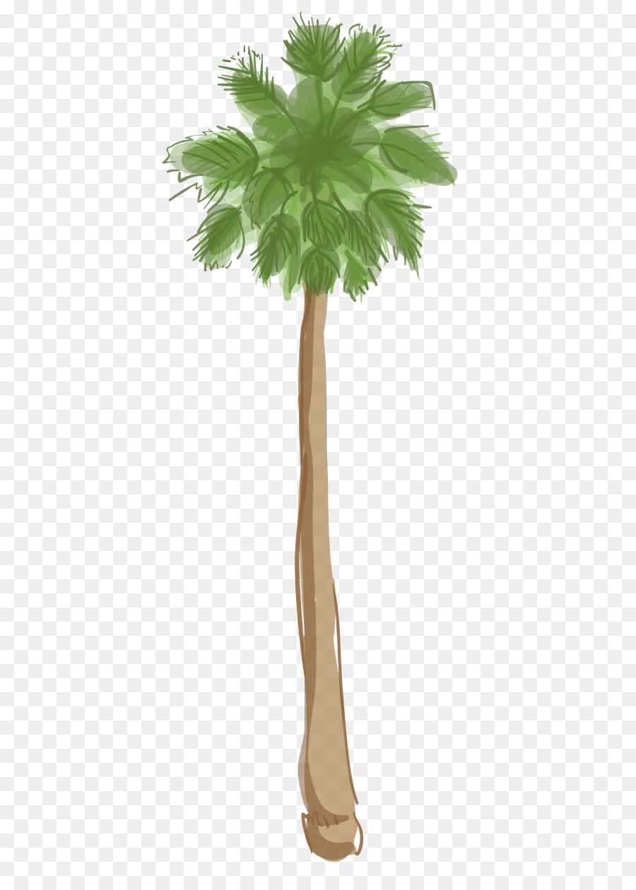 الآسيوية تدمر النخيل，Arecaceae PNG