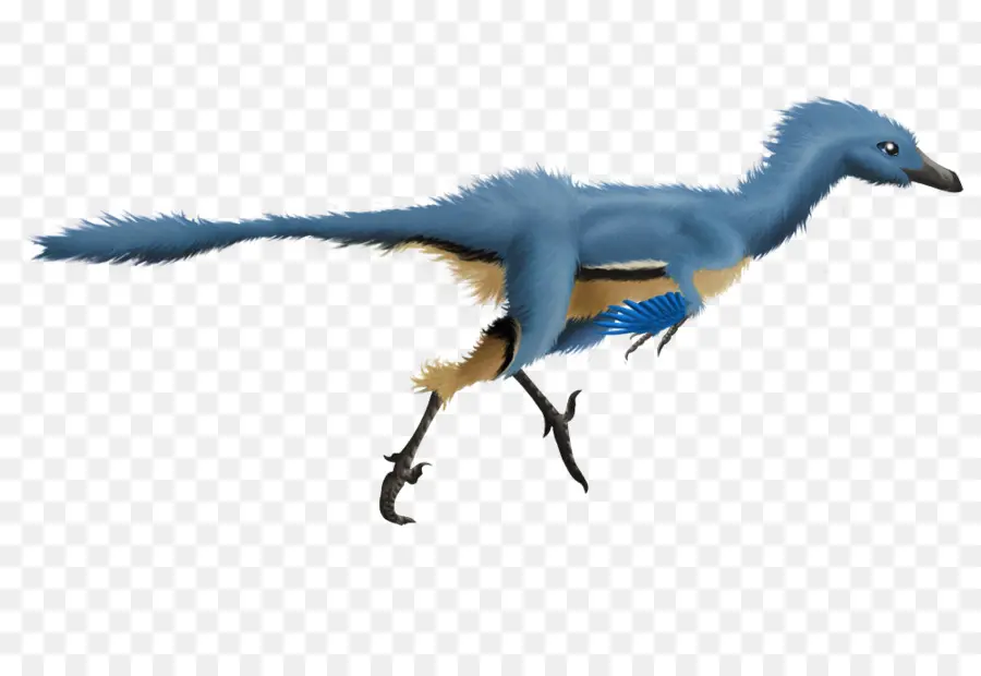 ترودون，Velociraptor PNG