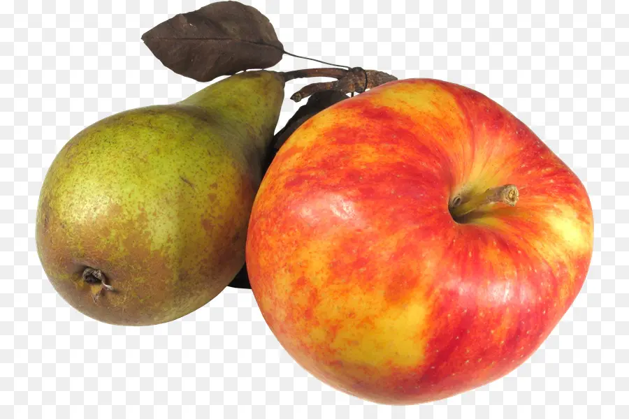 تفاحة，بومي PNG