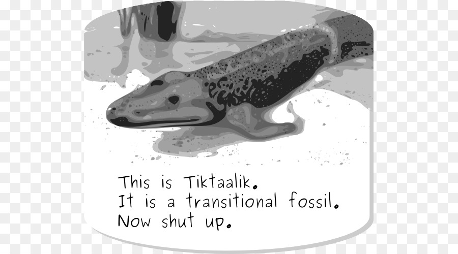 Tiktaalik，الانتقالية الأحفوري PNG