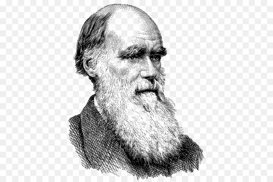 تشارلز داروين，أصل الأنواع PNG