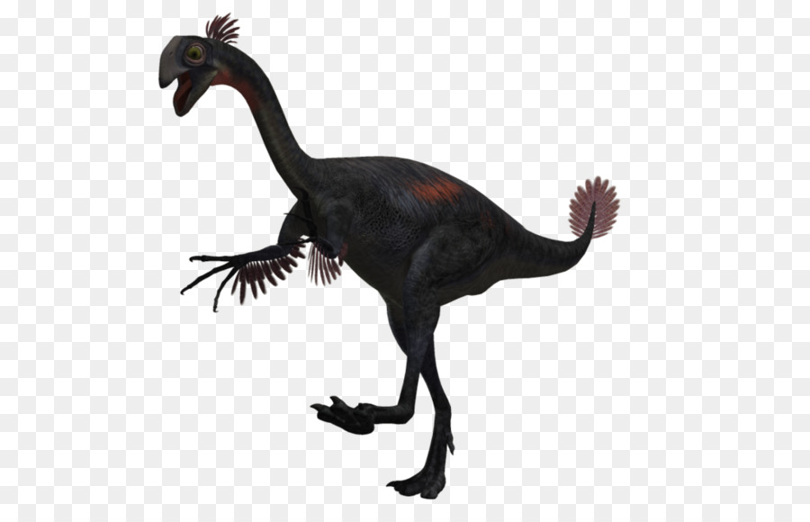 Velociraptor，حيوان PNG