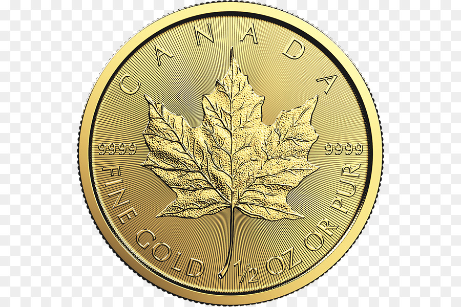 كندا，الكندي الذهب مابل ليف PNG