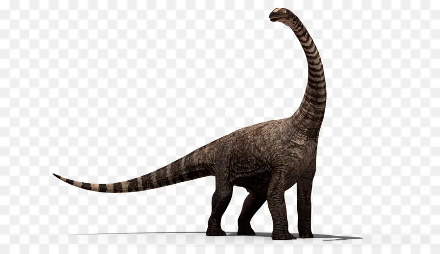 ديناصور，ترايسيراتوبس PNG
