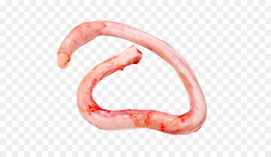 Worm，الأغذية الحيوانية المصدر PNG