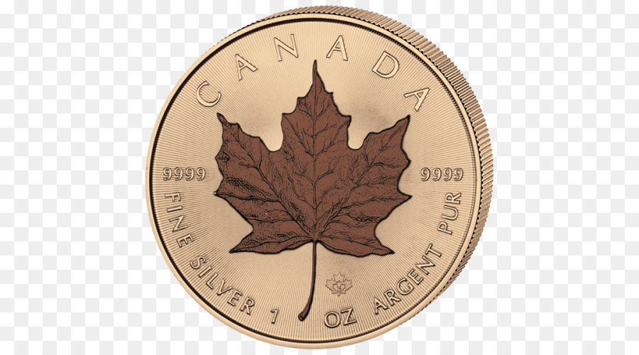 الكندي الذهب مابل ليف，الكندي الفضة ورقة القيقب PNG