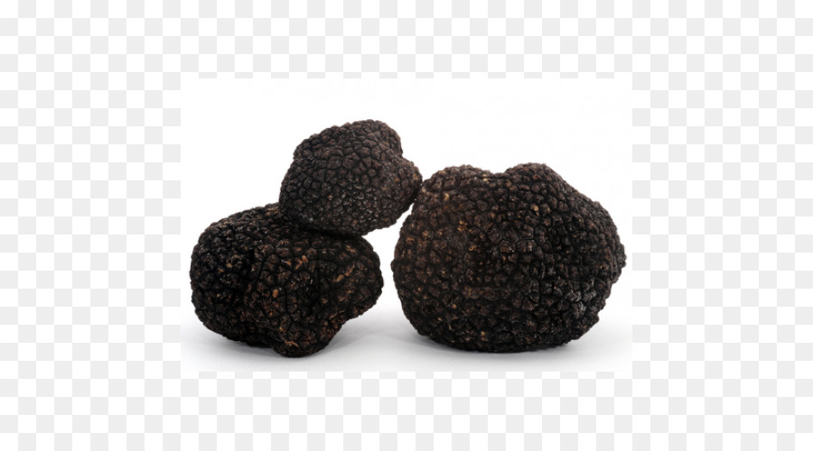 Périgord Black Truffle，درنة Aestivum PNG