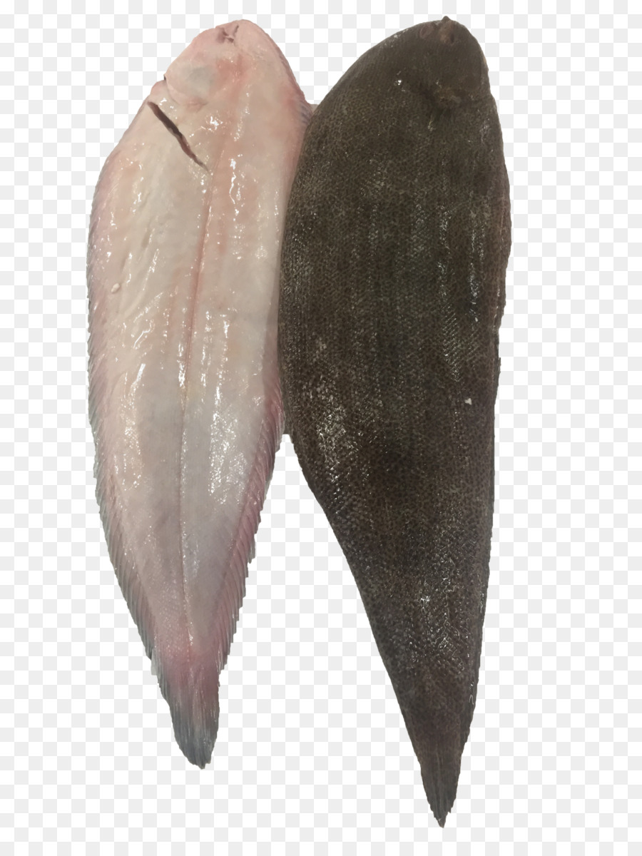 الهامور，سمكة PNG