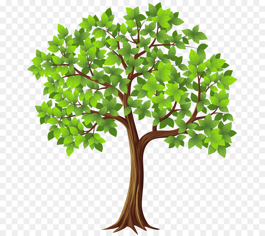 تحميل，شجرة PNG