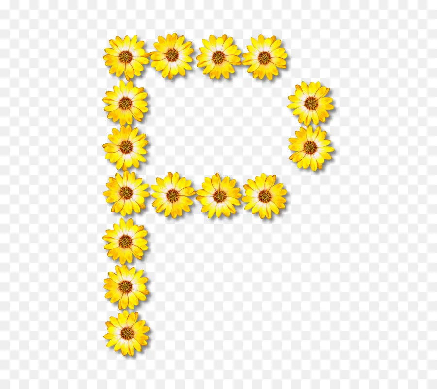 المشتركة عباد الشمس，تصميم الأزهار PNG