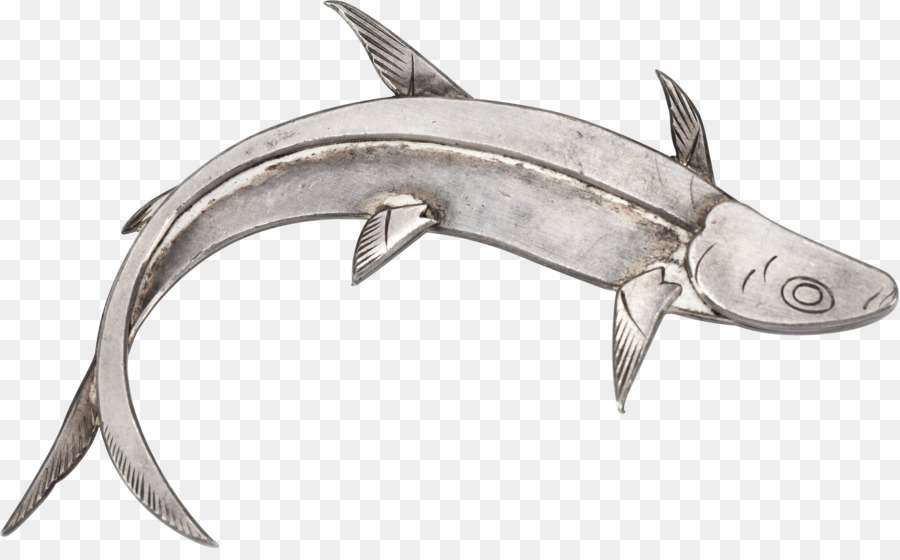 قداس أسماك القرش，كيبر PNG